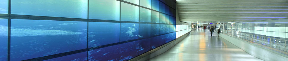 Window Film and Graphics