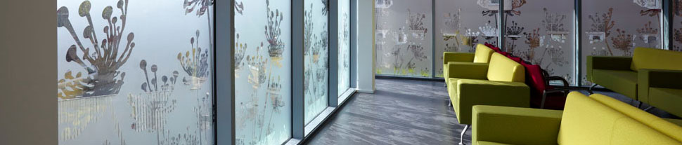 Window Film and Graphics