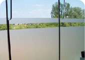 Glass Manifesation