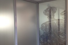Digital-Print-Graphics-on-Frosted-Series-Commercial-Privacy-Design3-scaled
