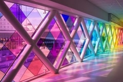 VION-Decor-Colour-Commercial-Design